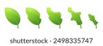 The process Biting Leaf pests. Insects plants eating bitten off. Leaf Icons. Vector illustration.