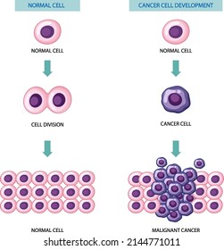 Process of cancer cell development illustration