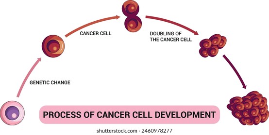 Proceso de Ilustración vectorial del Diagrama de Ciencia del Desarrollo de Células Cancerosas