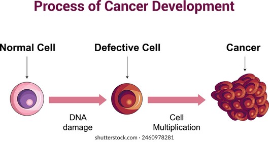 Proceso de Ilustración vectorial del Diagrama de Ciencia del Desarrollo de Células Cancerosas