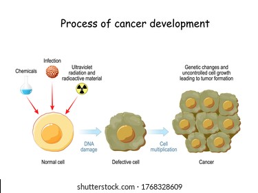 Process Of Cancer Development. Cancer Causing Agents And The Stages Of Transforming Normal Cell To Defective Cell And Cancer. Genetic Changes And Uncontrolled Cell Growth Leading To Tumor Formation