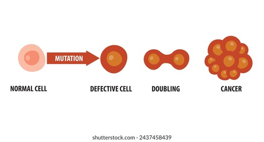 Process of cancer development infographic illustration