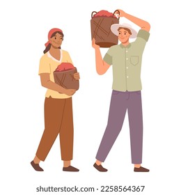 Process of coffee production, growing and transportation. Isolated people carrying baskets with beans on shoulders. Farm producers. Vector in flat style