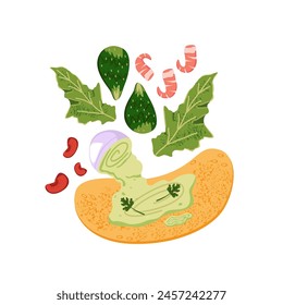 Process of cooking tortilla roll with green sauce. Recipe of preparing vegetarian shawarma with beans, shrimps, salad leaves. Mexican fast food. Flat isolated vector illustration on white background