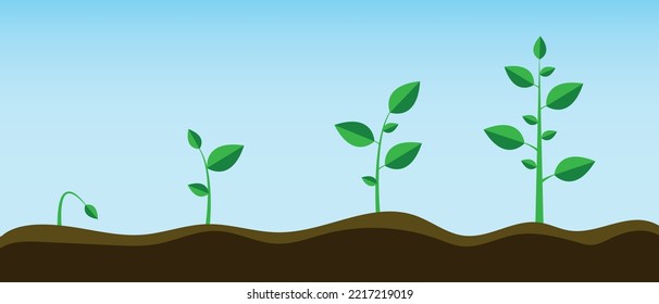 Process of development and growth of a sprout from the ground vector illustration. Restoration of ecology and nature. Study of botany. Earth Day.