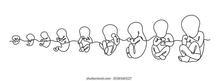 El proceso de desarrollo embrionario dibujado con una línea. El crecimiento de un niño en el útero desde la concepción hasta el nacimiento. Ilustración vectorial simple sobre fondo blanco.