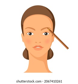 Process of eyebrow drawing to face. Illustration of beautiful woman with make up.