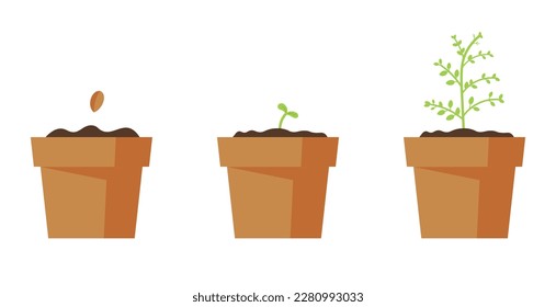 Process Of Growing Little Home Tree. Gardening, Planting Concept. Vector Illustration In Flat Style