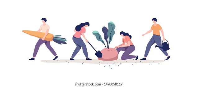 Process harvesting vegetables by different people.  Organic vegetable crops cultivation. Vector illustration.