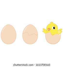 process of hatching a chicken from an egg