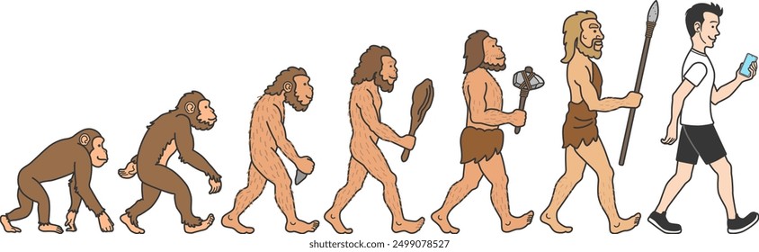 The process illustration of human evolution