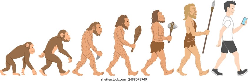 The process illustration of human evolution