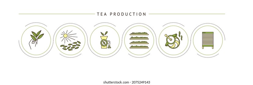 the process of making tea by stages