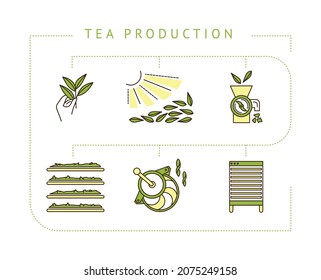 the process of making tea by stages