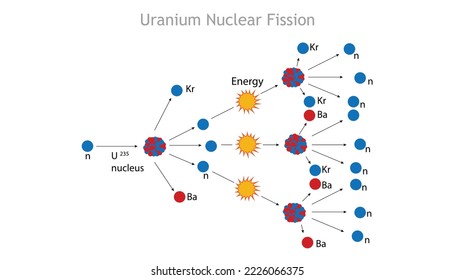 The Process Of Nuclear Fission In Uranium