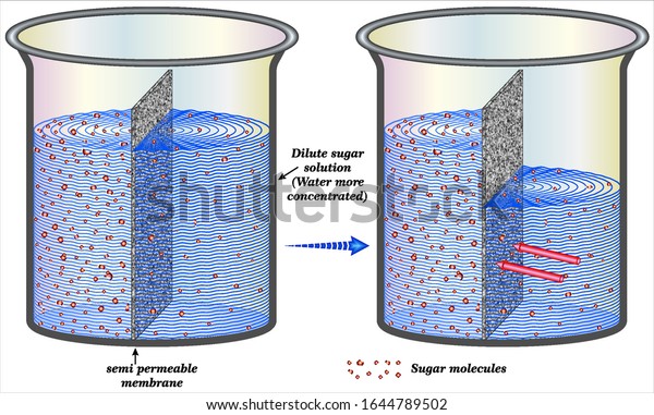 submerge movements