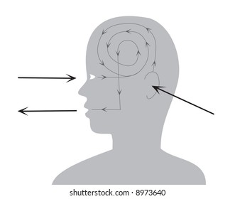 Process of perception and reaction. Vector illustration.