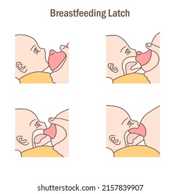 The Process Of Perfect Baby Breastfeeding Latch