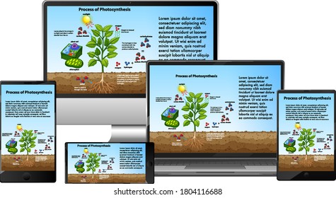 Proceso de fotosíntesis en la ilustración de pantalla de dispositivos electrónicos