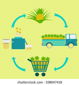 Process of pineapple juice. Pineapple juice production steps. Pineapple tree, harvest, transport, sale at the grocery store, production of pineapple juice at home. In a circular scheme.