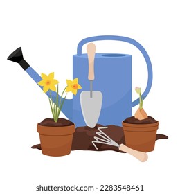 
The process of planting daffodils. Garden tools for planting flowers. Composition of a garden watering can, flower pots and inventory.