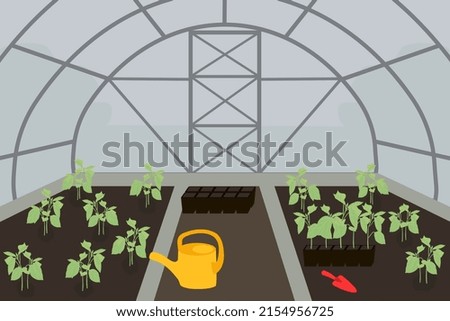The process of planting seedlings in a greenhouse. Seedlings in the greenhouse. Vector drawing of a greenhouse with seedlings.