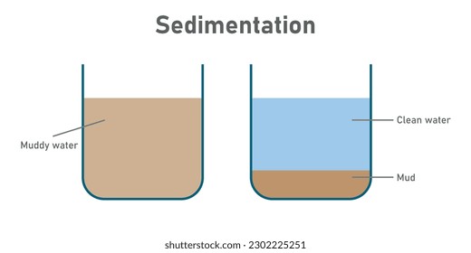 Process of sedimentation diagram. Physics resources for teachers and students. Vector illustration isolated on white background.