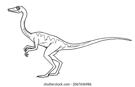 219 Theropod outline Images, Stock Photos & Vectors | Shutterstock