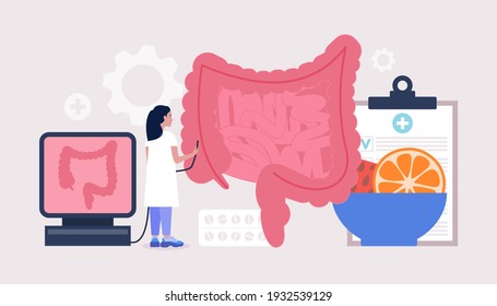 Proctology, Coloproctology concept. Young woman checks intestine. Colorful flat vector illustration