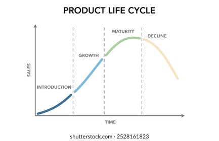 A product or business lifecycle typically consists of four stages: introduction, growth, maturity, and decline. Understanding these stages is crucial for developing effective marketing strategies.