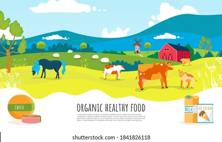 Product eco graphic poster, outside ranch cartoon label vector illustration. Farming milk and growing cow, infographic land advertising. Brochure grocery shop, presentation quality store.