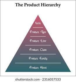The product Hierarchy - Item, Product Type, Line, Class, Family, Need. Infographic template with icons and description placeholder