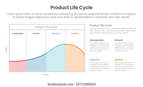 product life cycle diagram chart infographic template banner with chart table style on left with description on right with 4 point for slide presentation vector