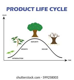 Product Life Cycle on White Background