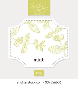 Product sticker with hand drawn mint leaves. Spicy herbs packaging design. Food label template. Vector illustration