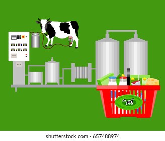 Production of cow's milk. Factory producing milk from the cow. 