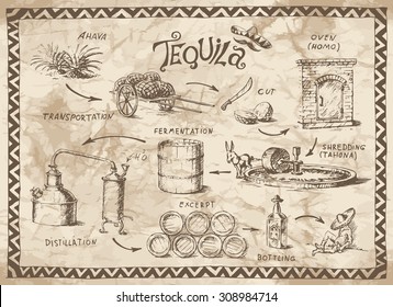 Production scheme of tequila on the old paper background