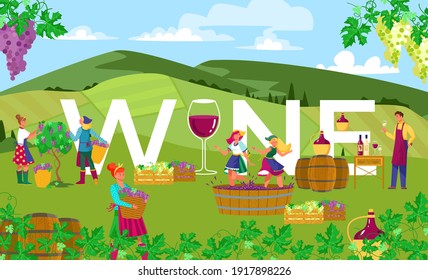 Production wine in countryside outdoors, successful agriculture, vineyard fields, harvesting, cartoon style vector illustration. Eexperienced winemaker, women collect and process grapes, press.