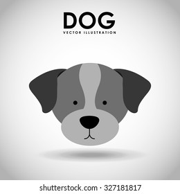 products for dogs design, vector illustration eps10 graphic 