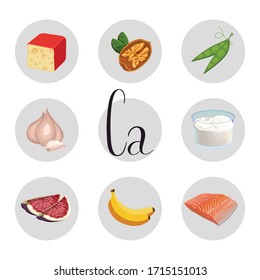 Productos con el contenido máximo de Vitamina Ca. Alimentación vegetariana natural saludable. Alimentación vectorial Vitamina Ca.