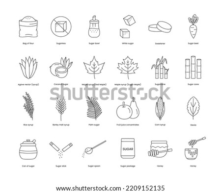 Products and plants from which sugar is made A set of line icons in vector includes images such as beets and agave, cane and stevia, corn and rice, sugar cubes and fruit, syrup red maple.