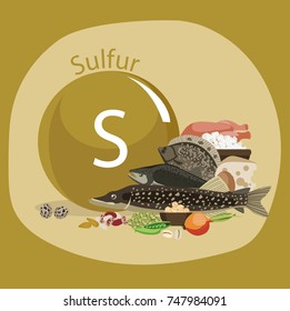 Products rich with sulfur. Bases of healthy food. Composition from natural organic products and the sign of sulfur on a color background. Healthy lifestyle