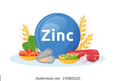 Products rich in zinc cartoon vector illustration. Minerals in seafood, beef. Garlic and nuts healthy foodstuffs flat color object. Diet for health isolated on white background