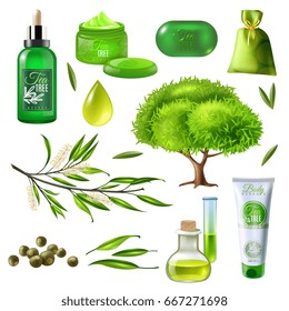 Products of tea tree set including parts of plant, oil droplet, soap, creams, sachet isolated vector illustration