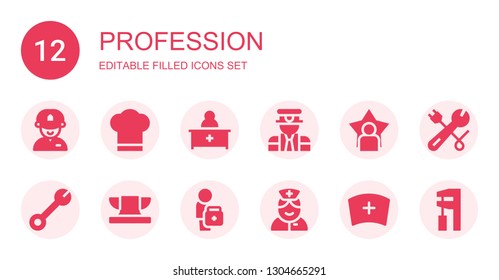 profession icon set. Collection of 12 filled profession icons included Driver, Chef hat, Pharmacist, Pilot, User, Wrench, Anvil, Doctor, Nurse