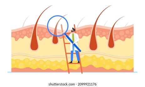 Profesión de concepto tricólogo. Pequeño Margen de Carácter Médico Comprobar la salud de los folículos del cabello y Escala con Enorme. Nombramiento con el especialista cometólogo. Ilustración de vectores de personas de caricatura