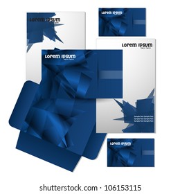 Professional abstract corporate identity