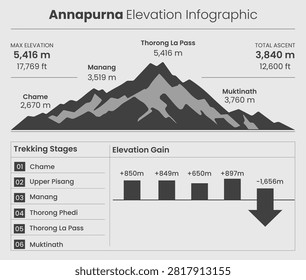 Professional Annapurna elevation infographic featuring altitude profile, trekking stages, elevation gain, mountain statistics, and clean editorial layout. Ideal for trekking guides, tourism publications, outdoor education, hiking presentations, travel agencies, adventure blogs, and expedition planning materials.