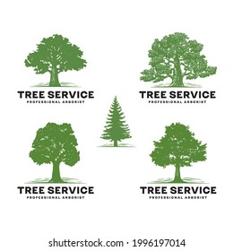 Professional Arborist Tree Care Service Organic Eco Sign Concept. Landscaping Design Raw Vector Illustration	
