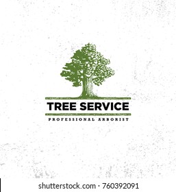 Professional Arborist Tree Care Service Organic Eco Sign Concept. Landscaping Design Raw Vector Illustration On Distressed Wall Background